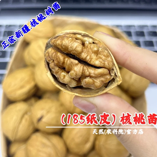 新疆阿克苏温185纸皮核桃树苗薄壳香核桃苗南方北方种植当年结果
