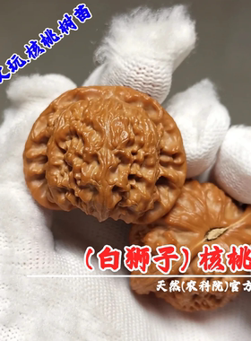 老款闷尖白狮子文玩核桃树苗磨盘盆栽地栽闷白麻核桃苗南北方种植