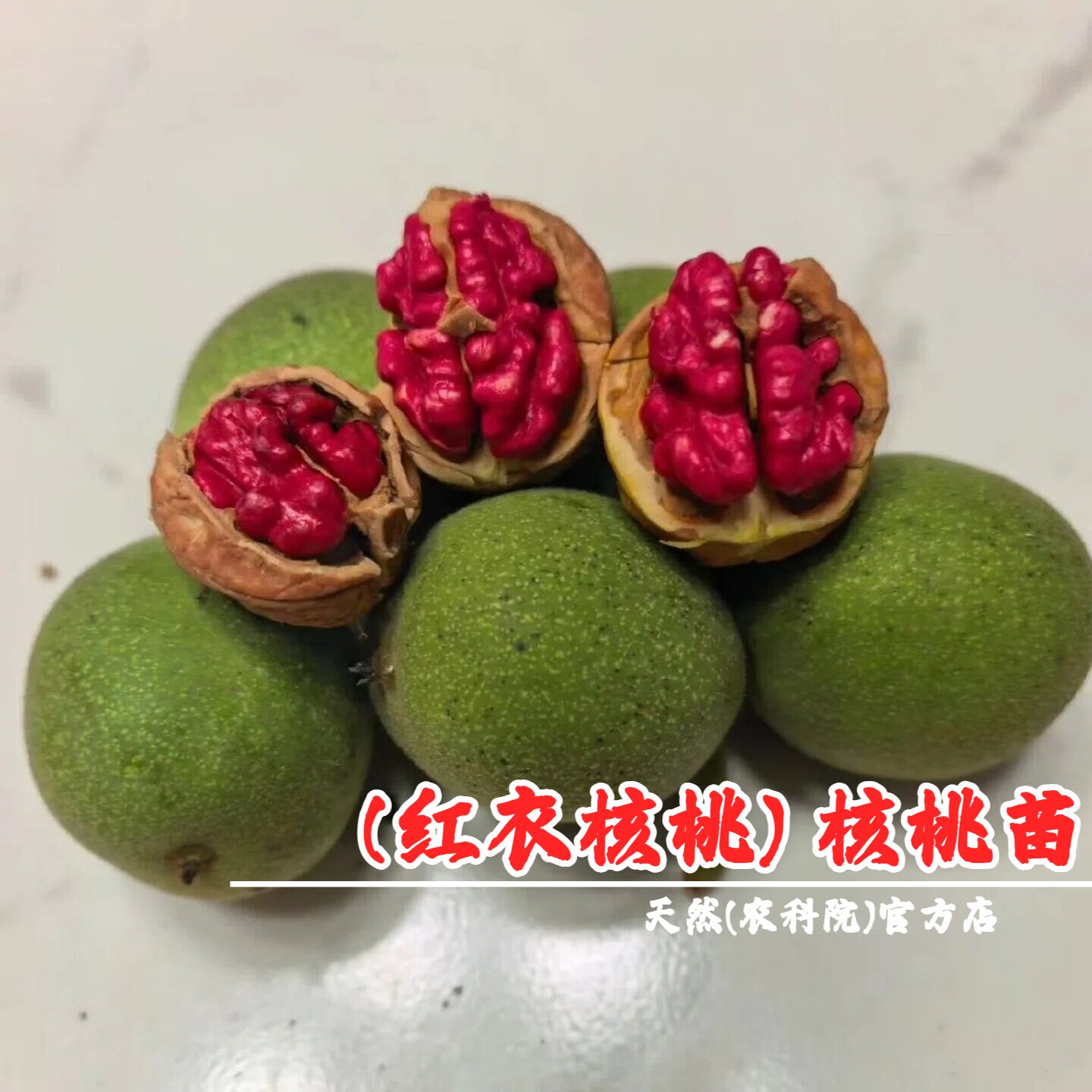 嫁接纸皮薄壳核桃树果苗红衣核桃树苗红仁紫京核桃苗南方北方种植