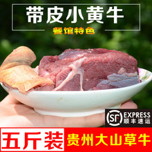 农家放养当天现杀生鲜土带皮新鲜小黄牛肉牛腩排骨腱子腿肉谷饲