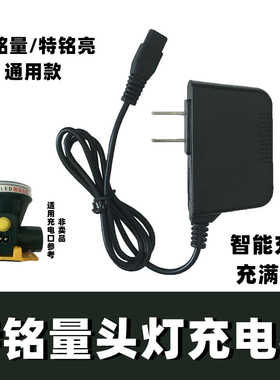 通用特铭量 耐亭头灯充电器双孔A78 A46 4625 668 7826手电筒圆孔