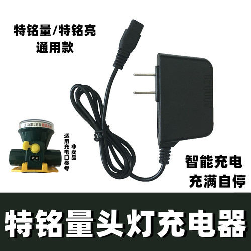 通用特铭量耐亭头灯充电器双孔