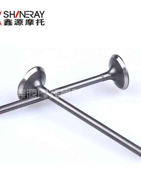 鑫源 X2发动机配件-气门-CB250型水冷四气门-进排气门 气门弹簧