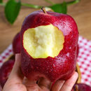 粉面刮泥红蛇平果 当季 正宗甘肃天水花牛苹果10斤新鲜水果整箱 包邮