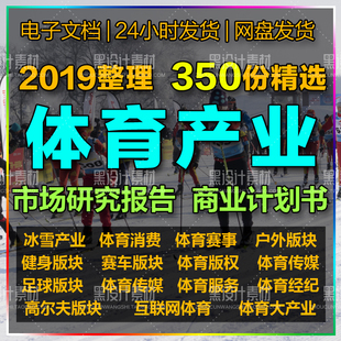 体育产业商业创业计划书BP及市场研究报告 冰雪健身赛事传媒营销