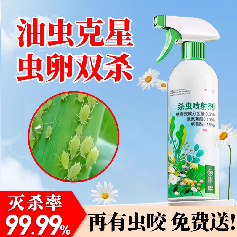蜜治虫除杀治油虫药蚜虫腻虫专用打菜虫药杀虫剂灭月季花蜜虫克星