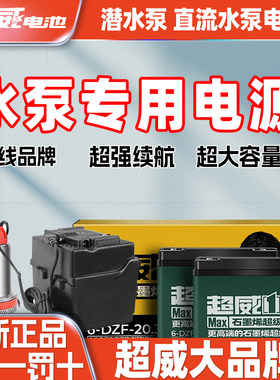 12v不锈钢蓄电池直流潜水泵