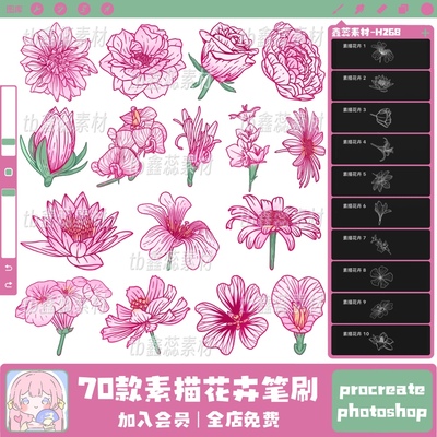 procreate笔刷ps笔刷素描花卉花朵花束莲花辅助线绘画点缀笔刷
