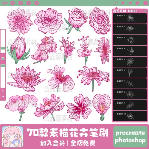 procreate笔刷ps笔刷素描花卉花朵花束莲花辅助线绘画点缀笔刷
