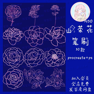 procreate笔刷ps笔刷山茶花花朵鲜花辅助线线稿点缀笔刷