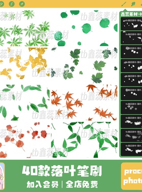 procreate笔刷ps笔刷落叶树叶枫叶树枝植物风景绘画点缀辅助笔刷