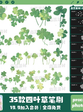 procreate笔刷ps笔刷四叶草幸运草花朵鲜花辅助线线稿点缀笔刷