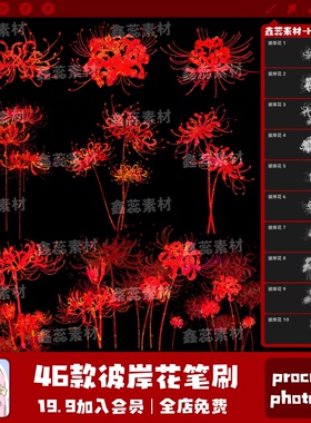 彼岸花procreate笔刷ps笔刷彼岸花花朵鲜花辅助线线稿点缀笔刷