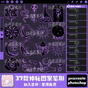 procreate笔刷ps笔刷神秘魔法星星月亮玫瑰纹样图案装饰元素笔刷
