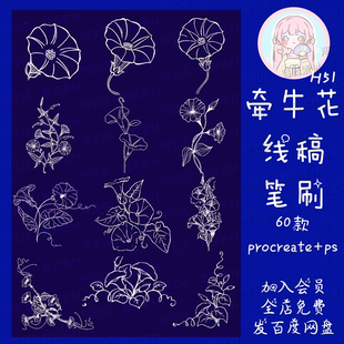 procreate笔刷ps笔刷牵牛花植物花朵花卉线稿辅助线笔刷