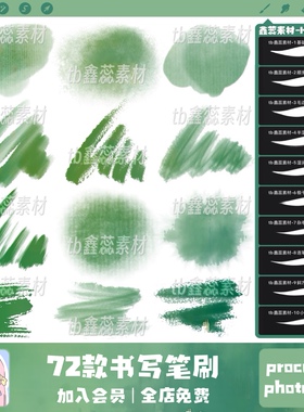 procreate笔刷ps笔刷书法毛笔书写墨水水墨水痕绘画点缀辅助笔刷