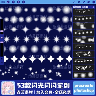 procreate笔刷ps笔刷闪光光点星空银河星星发光辅助绘画笔刷