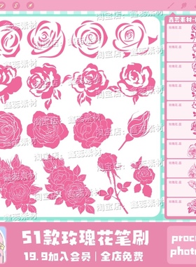 procreate笔刷ps笔刷植物类玫瑰花花卉线稿剪影插画练习笔刷