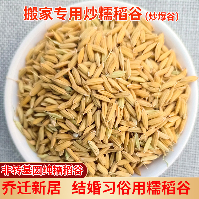 新货糯稻谷带壳炒爆米花搬家乔迁新居入伙进宅五谷杂粮结婚习俗用