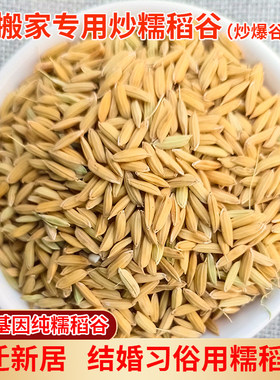 搬家专用炒稻谷纯糯稻谷带壳