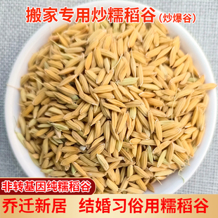 新货糯稻谷带壳长粒糯谷炒爆米花搬家乔迁新居入伙进宅结婚习俗用