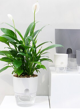 ABS Automatic Self Watering Flower Pot for Succulent Plants