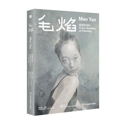 【旗舰店正品 当天发货】绘画的切片：毛焰作品集  收录100余件绘画作品 展览图录   另附韩东、汪民安、李小山等评论