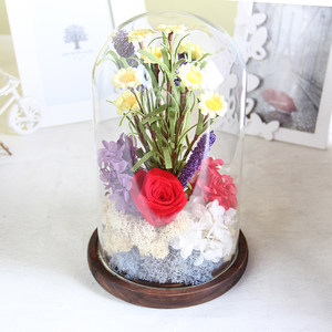 客厅桌面摆件永生花礼盒玻璃罩干花玫瑰花保鲜生日礼物DIY防尘罩