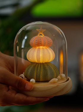 天然灯小夜灯材料包 情人节创意礼物 海胆造型DIY小夜灯装饰摆件