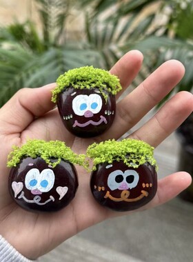 新款ins平安豆冰箱贴diy果实森系风植物干果可爱萌宠居家装饰礼品