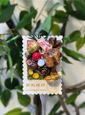 新款 西双版纳菌邮票云南蘑菇冰箱贴果实森林礼物
