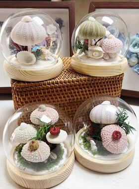 %海胆贝壳小夜灯海洋文创手工伴手礼ins灯送闺蜜女友生日礼物摆件