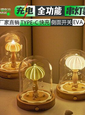 DIY手工生日礼物女生L送男生古风海胆灯海螺小夜灯闺蜜情人节摆