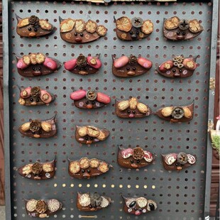 豆荚果实冰箱贴果实干花永生花冰箱贴音母亲节磁铁冰箱贴冰箱装饰