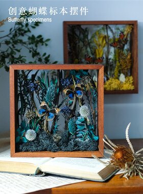 双面玻璃蝴蝶标本微景观科普儿童昆虫摆件干花植物相框个性礼物
