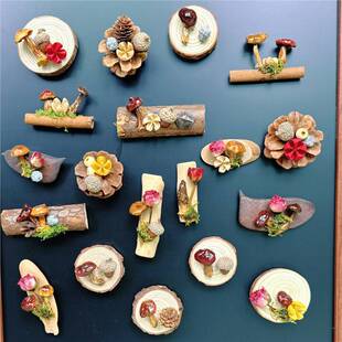 云南真蘑菇冰箱贴苍山果实真植物森系冰箱贴伴手礼装饰品