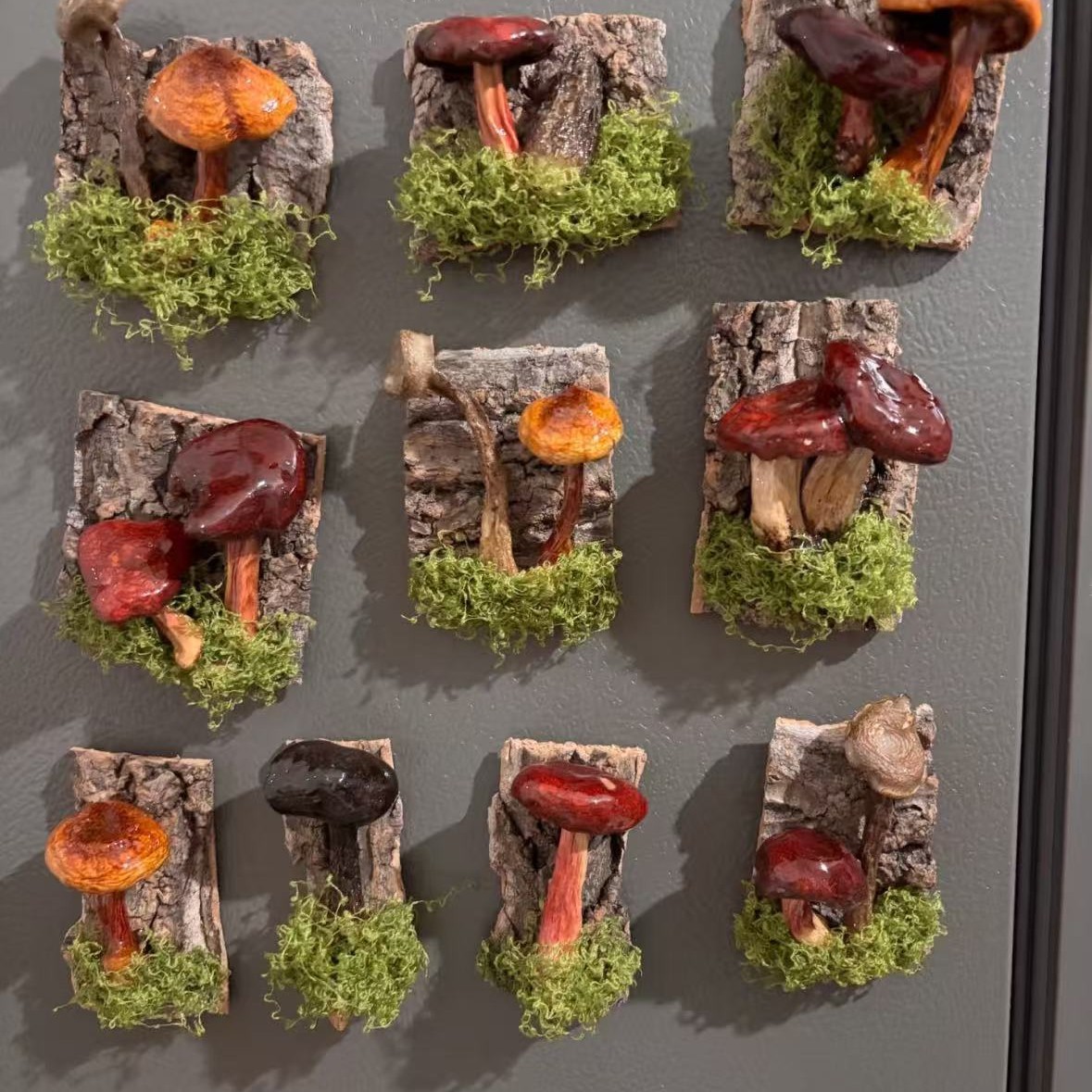 云南蘑菇菌真植物diy森系冰箱帖标本伴手礼家居墙面装饰品