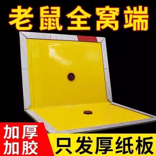 超强力粘鼠板捉抓粘大老鼠贴沾胶夹笼捕鼠灭鼠神器克星家用一窝端