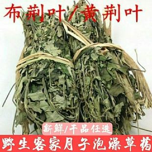纯野生黄荆叶布惊叶黄荆草牡荆树叶月子产后草药端午节碱水粽原料