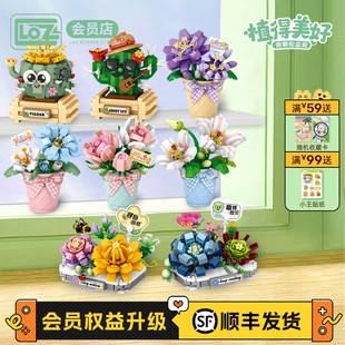 LOZ积木花摆件永生花多肉盆栽微观植物花卉微钻颗粒拼装 益智组装