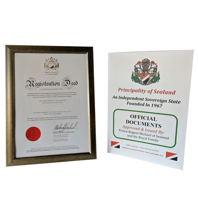 网红必备装13特殊礼物