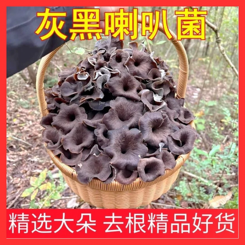 黑灰喇叭菌野生菌干货 灰号角原生态云南 菌子菌香浓郁超好吃