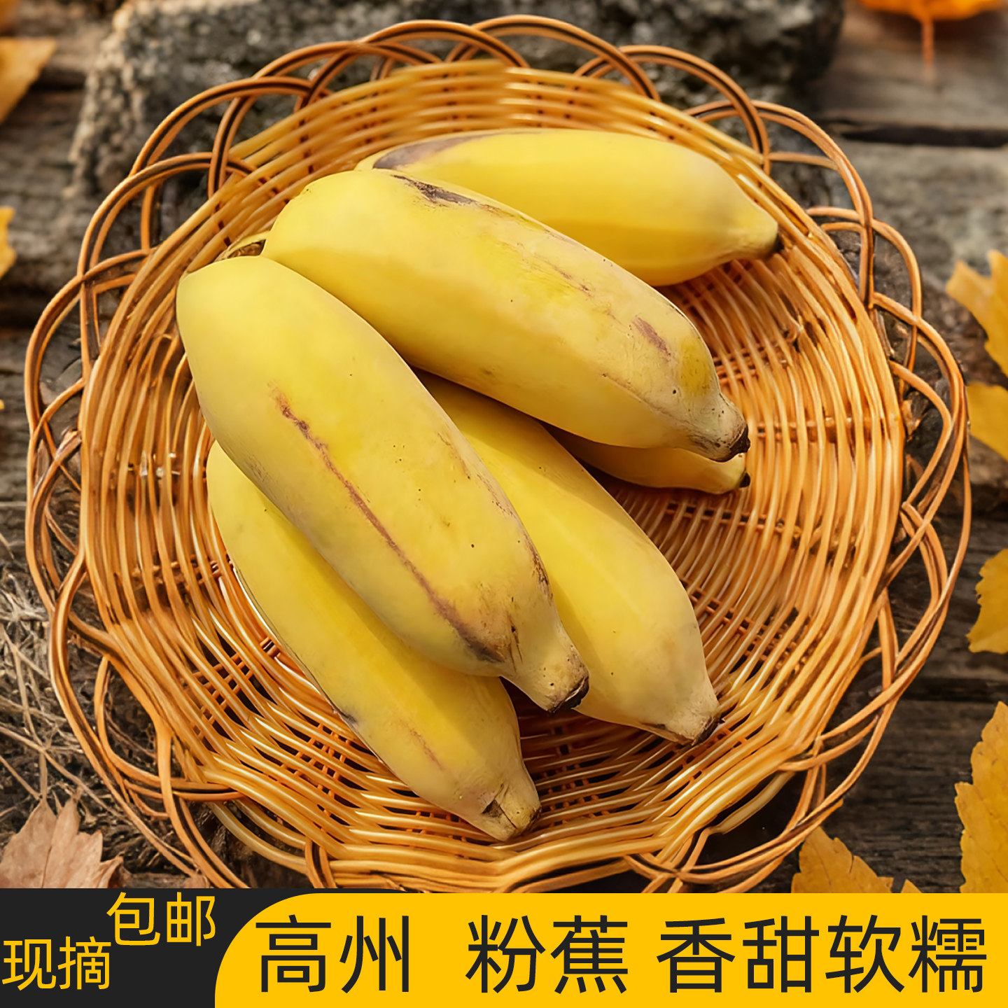 广东粉蕉新鲜水果当季现摘高州小米蕉苹果香蕉芭蕉自然熟5斤包邮