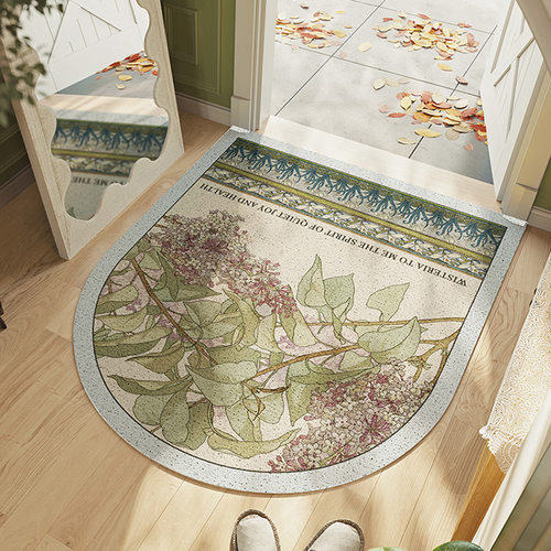 家用门口玄关丝圈地垫进门脚垫