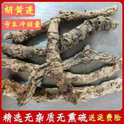 胡黄连中药材 精选正品无熏硫西藏胡黄连 胡连 胡黄连粉 批发价