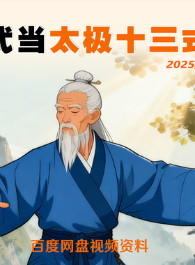 武当太极十三式武当太极拳