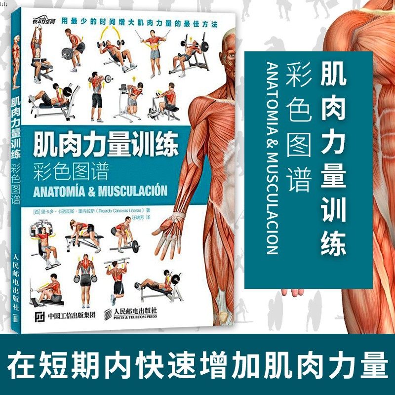 【正版速发】肌肉力量训练彩色图谱健身教程教练人体肌肉解剖健身教练体能训搭肌肉健美训练图解指南ry使用感如何?