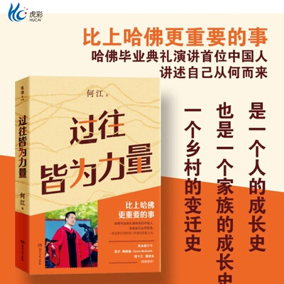 过往皆为力量（中国版你当像鸟）