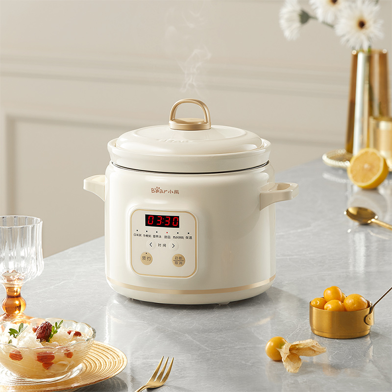 【好物体验】小熊家用电炖锅DDG-E20M1