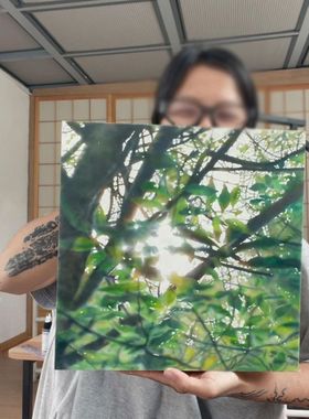 植物光影现代简约客厅装饰画小清新治愈系餐厅壁画高级感玄关挂画